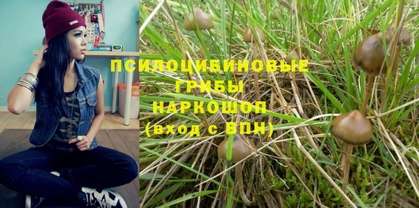 мескалин Горно-Алтайск