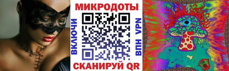 кракен онион  Дмитров  Псилоцибиновые грибы мицелий 